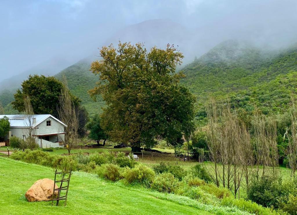 Vakantieboerderij Pat Busch Mountain Reserve *