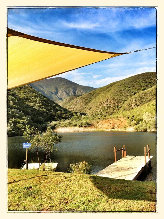 Pat Busch Mountain Reserve *