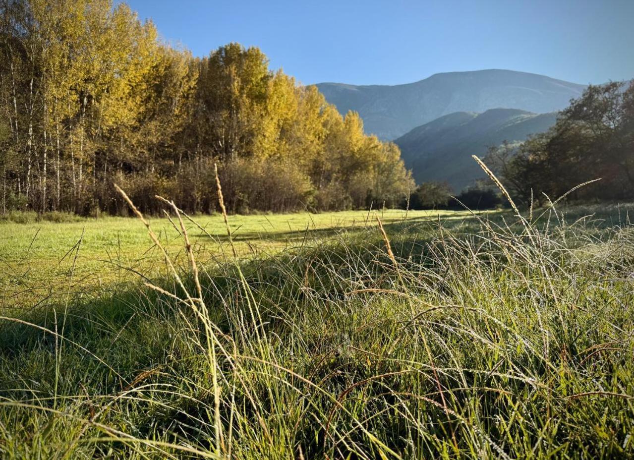 Pat Busch Mountain Reserve *