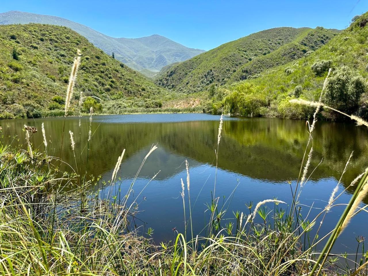 Pat Busch Mountain Reserve Robertson
