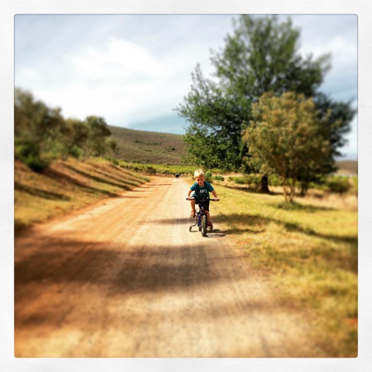 Vakantieboerderij Pat Busch Mountain Reserve