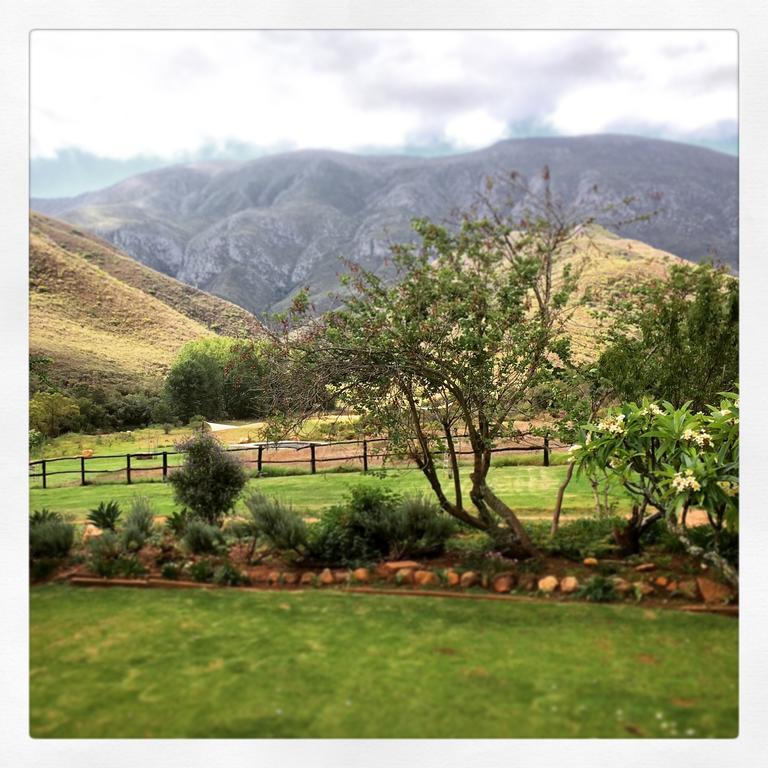 Pat Busch Mountain Reserve * Robertson
