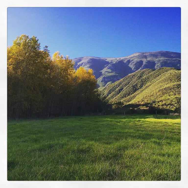 Pat Busch Mountain Reserve *