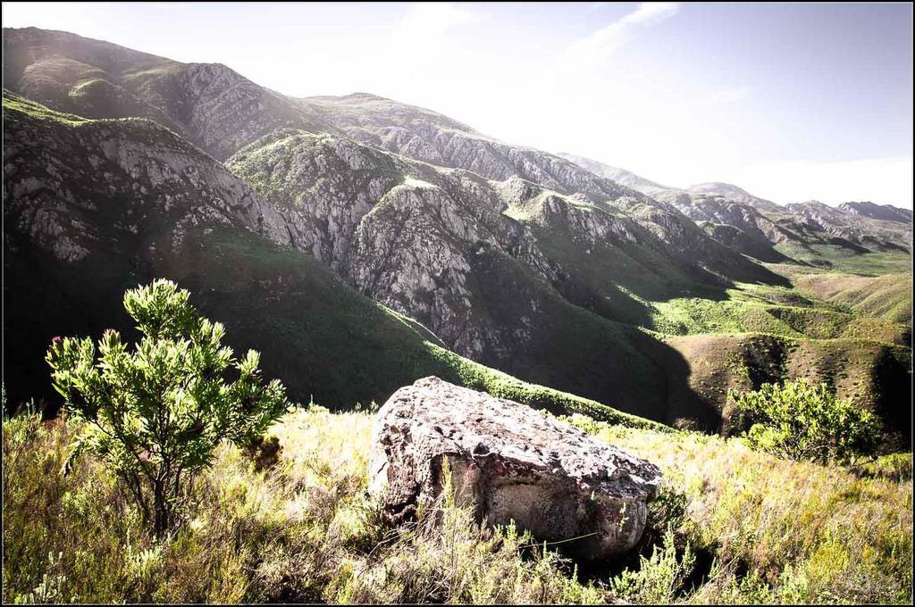 Pat Busch Mountain Reserve * Robertson