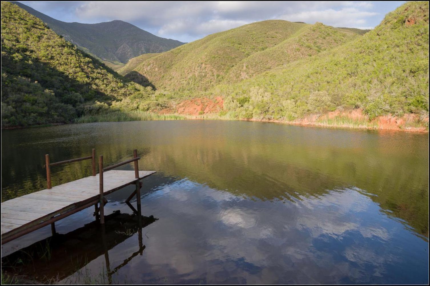 Pat Busch Mountain Reserve Robertson