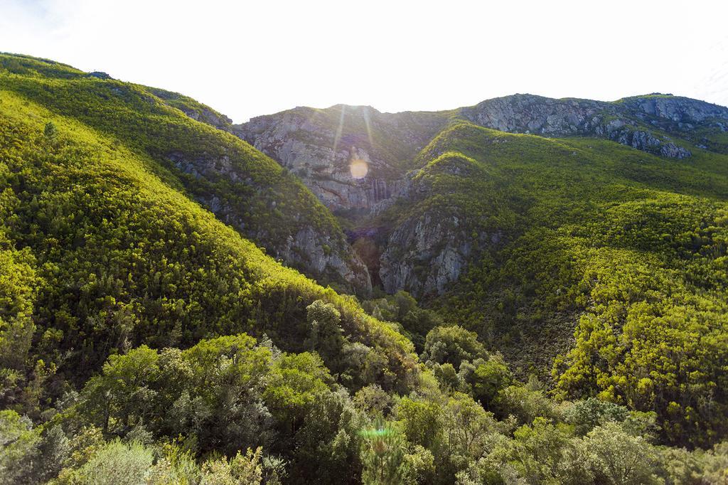 Pat Busch Mountain Reserve