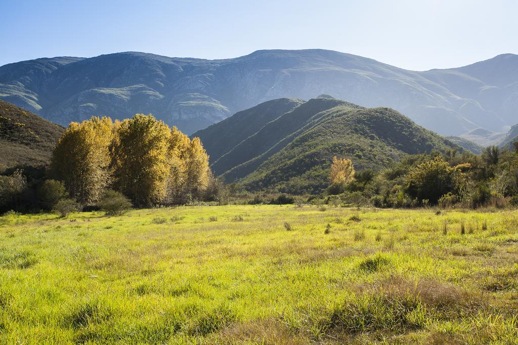 Pat Busch Mountain Reserve
