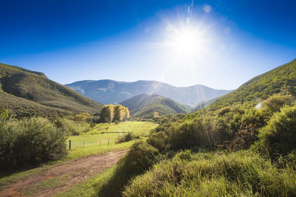 Vakantieboerderij Pat Busch Mountain Reserve *
