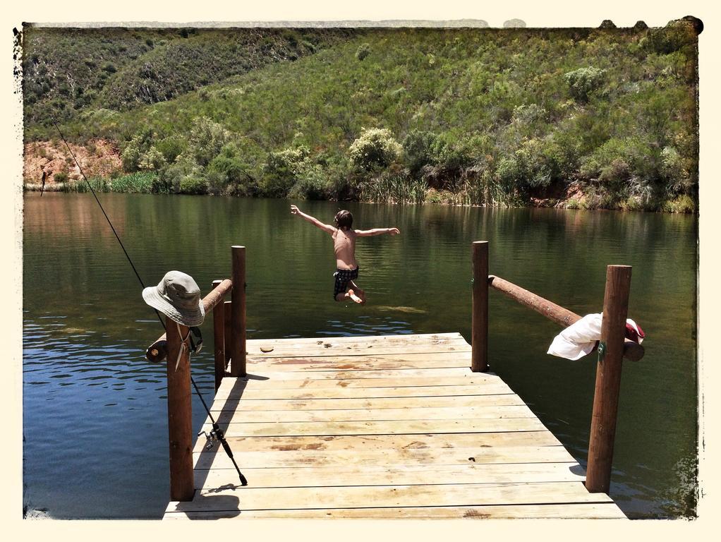 Pat Busch Mountain Reserve Vakantieboerderij *