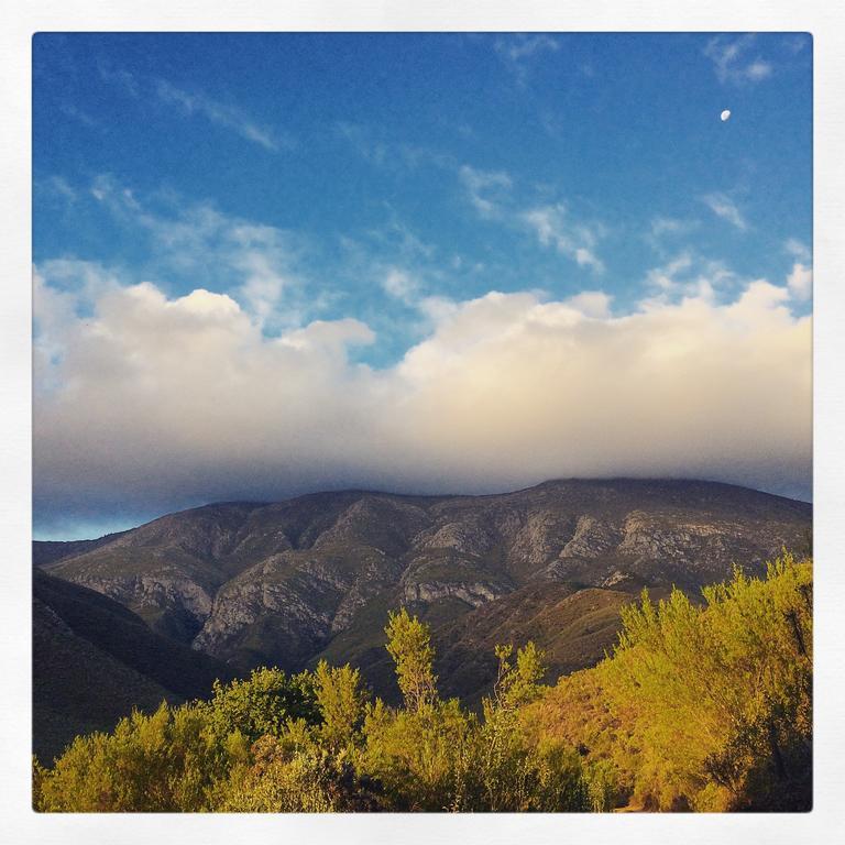 Pat Busch Mountain Reserve Robertson
