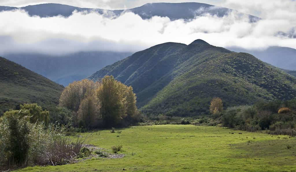 Vakantieboerderij Pat Busch Mountain Reserve *